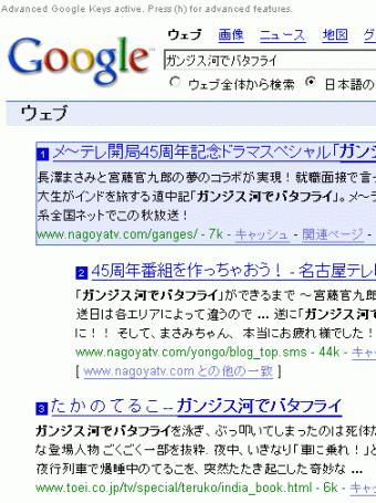 『Google Advanced Keys』説明