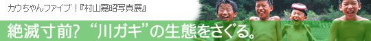 絶滅寸前? “川ガキ”の生態をさぐる。