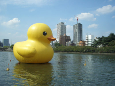 気持ちよさそうに浮いてますねー